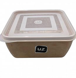 TUPPER CONTENEDOR 5LTS CUADRADO C/TAPA PLASTICO